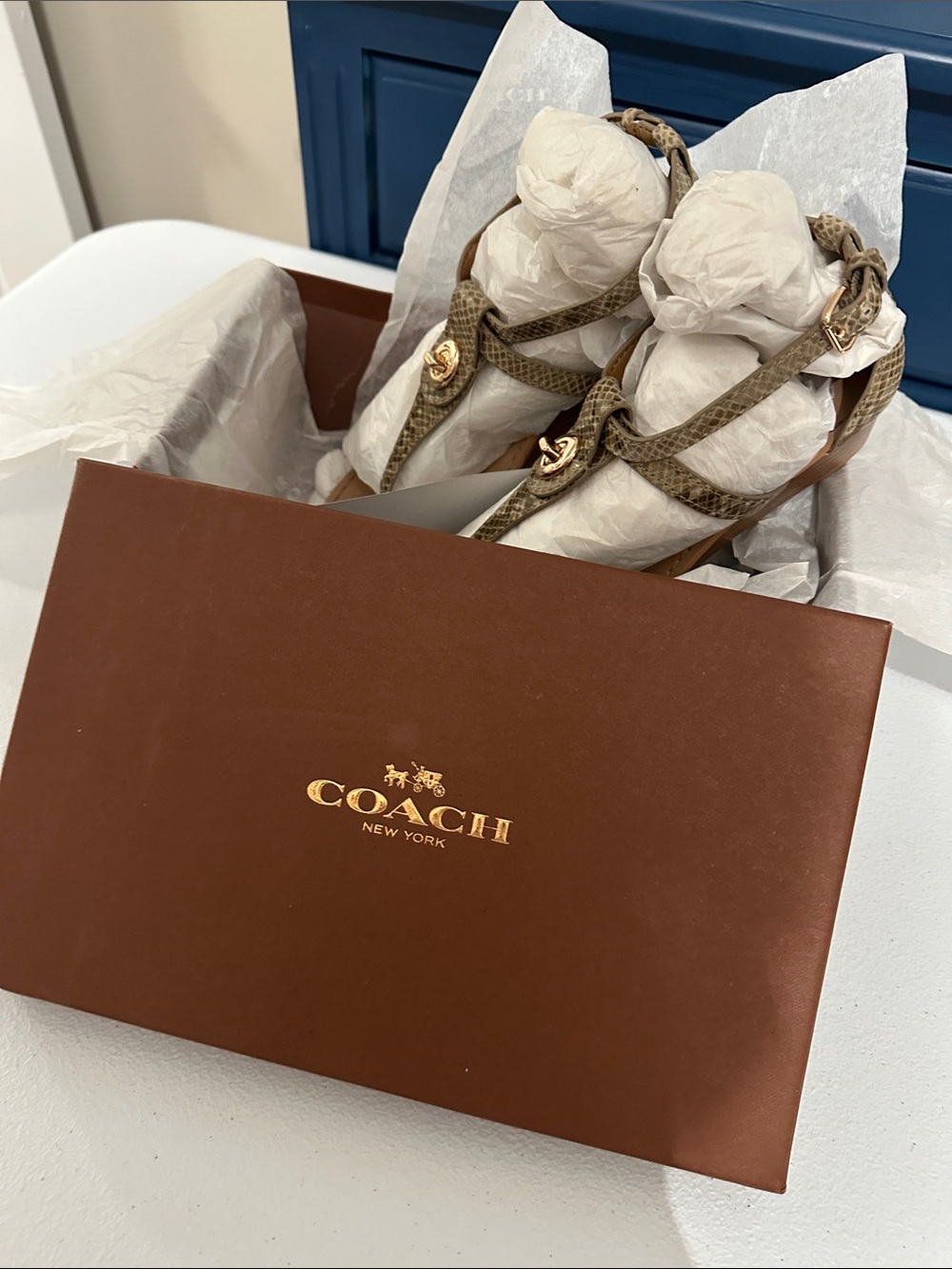 Coach Brown and Tan Leather Sandals with Gold Accent